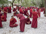 Monks Learning Session  with Masters and Students  Sera Monastery  Tibet  China