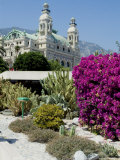 Opera  Monte Carlo  Monaco