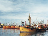 Fishing Fleet in Port  Mar Del Plata  Argentina  South America