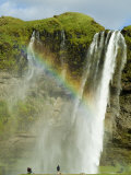 Seljalandsfoss  Iceland  Polar Regions