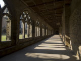 Cloisters  Durham Cathedral  Unesco World Heritage Site  Durham  County Durham  England