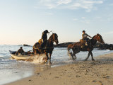Horses Dragging a Fishing Boat up the Beach  Horcon  Chile  South America