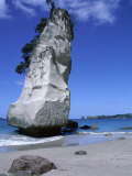 Cathedral Cove  Coromandel Peninsula  South Auckland  North Island  New Zealand
