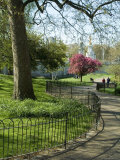 St James's Park  London  England  United Kingdom