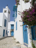 Sidi Bou Said  Tunisia  North Africa  Africa