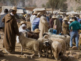 Weekly Market  Tahanoute  High Atlas Mountains  Morocco  North Africa  Africa