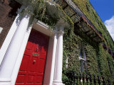 Red Door and Ivy Covered Building  St Stephens Green  Dublin  Eire (Republic of Ireland)
