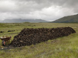 Cut Peat Stacked up for Winter  Connemara  County Galway  Connacht  Republic of Ireland