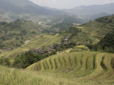 Longsheng Terraced Ricefields  Guilin  Guangxi Province  China