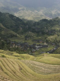 Longsheng Terraced Ricefields  Guilin  Guangxi Province  China