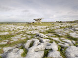 Poulnabrone Dolmen Portal Megalithic Tomb  the Burren  County Clare  Munster  Republic of Ireland