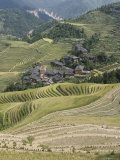 Longsheng Terraced Ricefields  Guilin  Guangxi Province  China