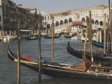 Gondolas  Grand Canal and Rialto Bridge  Venice  Unesco World Heritage Site  Veneto  Italy
