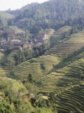 Longsheng Terraced Ricefields  Guilin  Guangxi Province  China