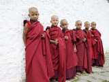 Young Buddhist Monks  Karchu Dratsang Monastery  Bumthang  Bhutan