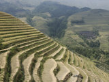 Longsheng Terraced Ricefields  Guilin  Guangxi Province  China