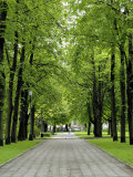 Esplanade  Green Park Near the Russian Orthodox Cathedral  Riga  Latvia  Baltic States