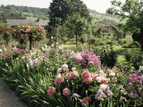 Garden  Monet's House  Giverny  Haute Normandie (Normandy)  France