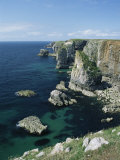 Elegug Stacks  Pembrokeshire  Wales  United Kingdom