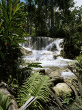 Dunns River Falls  Jamaica  West Indies  Caribbean  Central America