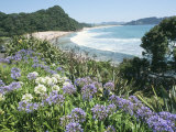 Hot Water Beach  Coromandel Peninsula  South Auckland  North Island  New Zealand