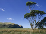 Hickory Bay  Banks Peninsula  Canterbury  South Island  New Zealand