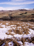 Glen Lednoch  Perthshire  Tayside  Scotland  United Kingdom