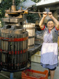 A Local Winemaker Pressing Her Grapes at the Cantina  Torano Nuovo  Abruzzi  Italy