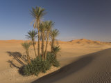 Erg Chebbi  Merzouga  Sahara Desert  Morocco  North Africa  Africa