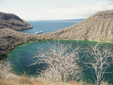 Darwin Crater  Tagus Cove  Isabella (Isla Isabela)  Galapagos Islands  Ecuador  South America