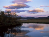 Trees and Lake at Sunset  Laponia  Lappland  Sweden  Scandinavia