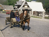 Zakopane Market  Malopolska  Poland