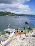 Discarded Shells Outside Shellfish Processing Plant  Dalcahue  Chiloe Island  Chile  South America