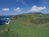 Coastline and Hills Near the Slieve League Cliffs  County Donegal  Ulster  Eire