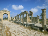 Roman Triumphal Arch and Colonnaded Street  Al Bas Site  Unesco World Heritage Site  Tyre  Lebanon