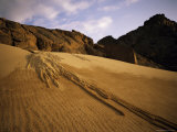 A Sand Avalanche after a Rainstorm in the Sahara Desert  Algeria  North Africa  Africa