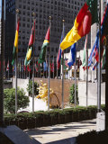 Flags Outside the Rockefeller Center  New York City  New York  USA