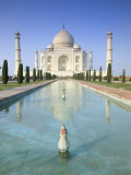 The Taj Mahal  Unesco World Heritage Site  Agra  Uttar Pradesh State  India