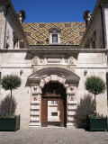 Hotel De Vogue  with Traditional Roof Tiles  Dijon  Burgundy  France