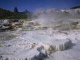 Opal Terrace  Mammoth Hot Springs  Yellowstone National Park  Wyoming