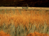 An Autumn Morning  Coniston Water  Lake District National Park  Cumbria  England