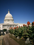 The Capitol Building from the East  Washington DC  USA