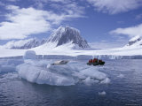 Tourists in Rigid Inflatable Boat Approach a Seal Lying on the Ice  Antarctica