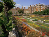 Sunken Gardens  Hampton Court Palace  Greater London  England  United Kingdom