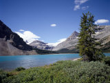 Bow Lake with Bow Glacier Behind  Icefields Parkway  Banff National Park  Alberta