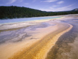 Grand Prismatic Spring  Midway Geyser Basin  Yellowstone National Park  Wyoming