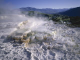 Minerva Spring  Mammoth Hot Springs  Yellowstone National Park  Wyoming