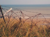 Utah Beach  Calvados  France