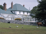 Exterior of Government House  Stanley  Falkland Islands  South America