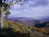 Area Near Loft Mountain  Shenandoah National Park  Virginia  USA